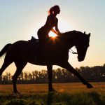 Paardrijden – wat in te pakken voor een paardrijavontuur